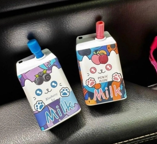 La revolución del vapeo en Chile: tendencias, cultura y oportunidades